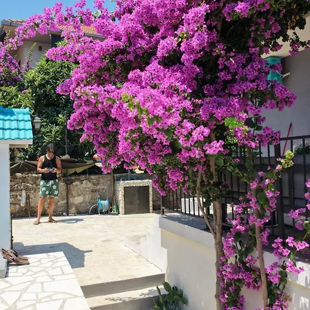 Nevenka * Trogir